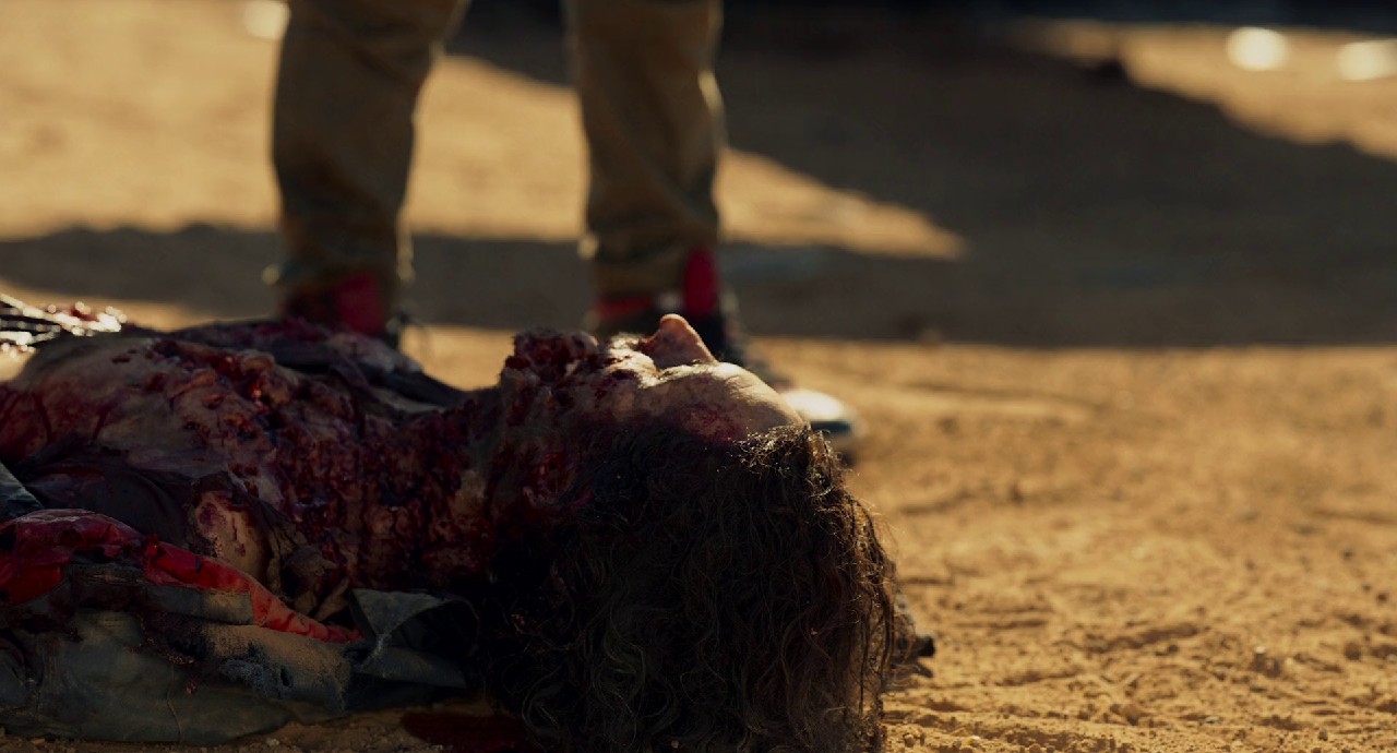 Survive (2024) BluRay Hindi + Ta Te Fr 1080p x264 AVC AAC 5.1.mkv.0003